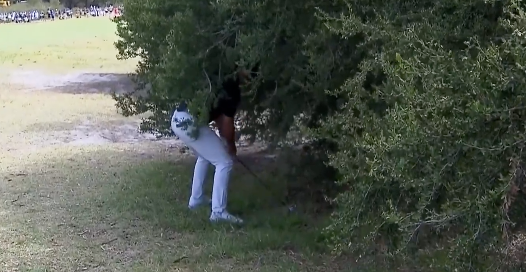 Watch Rory McIlroy have an air shot as he narrowly makes Australian Open cut